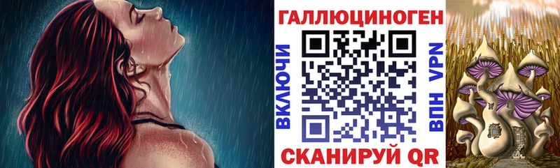 купить закладку  ссылка на мегу как зайти  Галлюциногенные грибы Cubensis  Новозыбков 